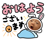 805676342