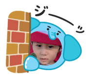 805676395
