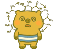 805706556