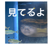 805744722