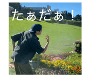 805744731