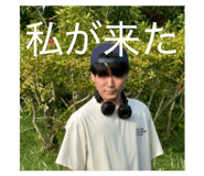 805744733