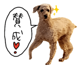 805754970