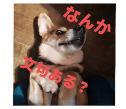 805758155