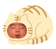 805777599