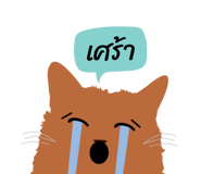 80578898