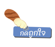 80578906