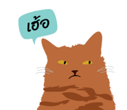 80578915