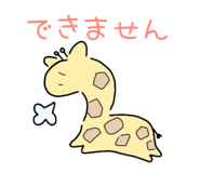 805791556