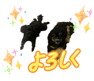 805791783