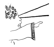 805814231