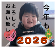 805816845