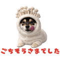 805819644