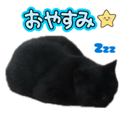 805822450