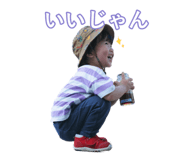 805885646