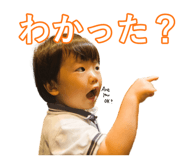 805885653