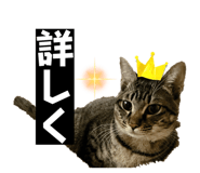 805910027