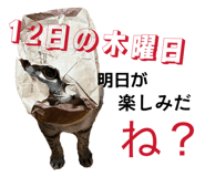 805910033