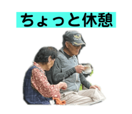 805913652