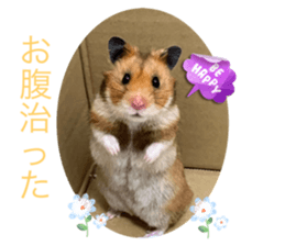 805919350