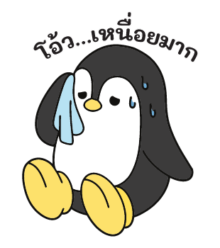 ลายที่ 11