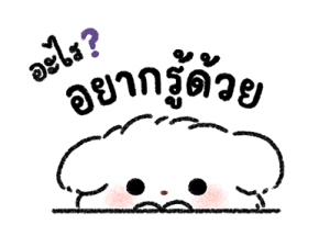Malmal Baby Puppy: Everyday รูปที่ 17