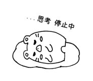 805937761