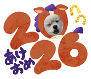 805950290