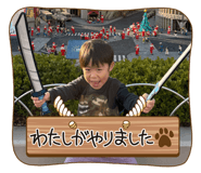 805951042