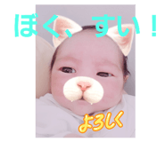 805952225