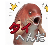 805956668