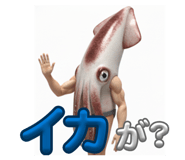 805956669