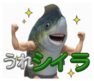 805956672