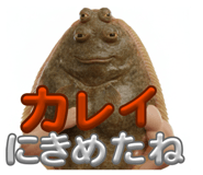 805956674