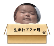 805958743
