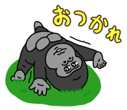 805960531