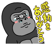 805960542