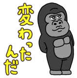 805960555