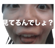 805960646