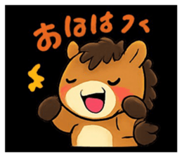 805968100