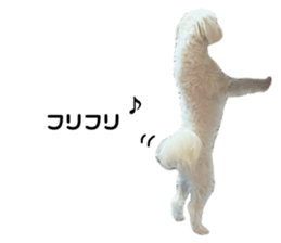 806005890