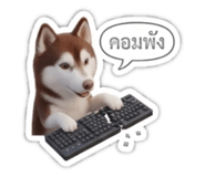 806006635