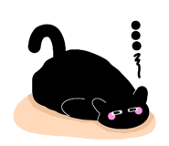 806006663