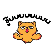 806009135