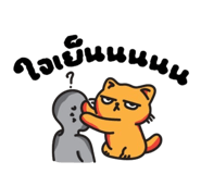 806009136