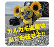 806014173