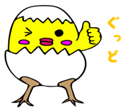 8060254