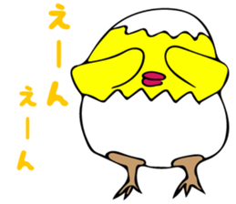 8060255