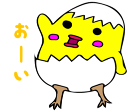 8060260