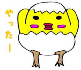 8060264